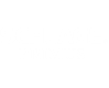 Logo of Schlage Primus
