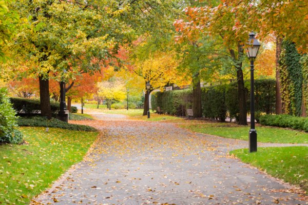 College Campus